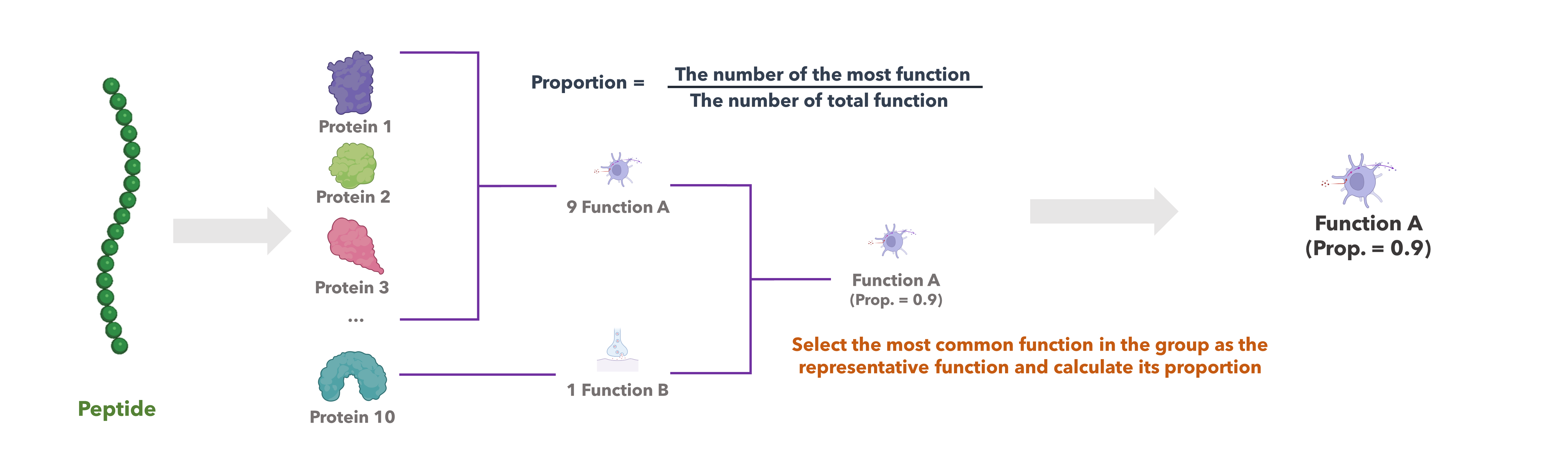 FUNC_prop