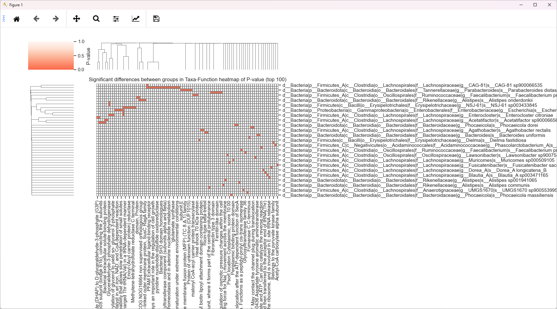 corss_heatmap